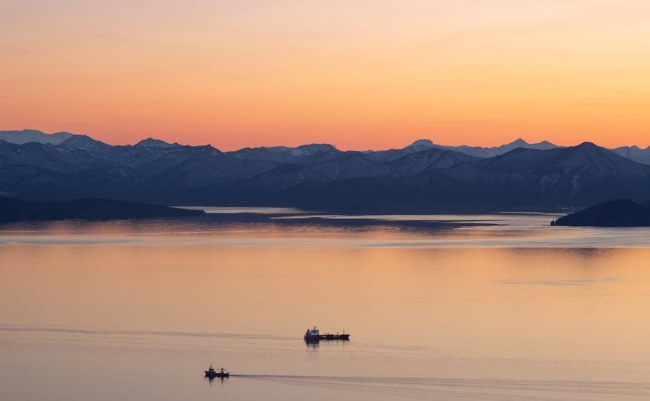 Cover image for article: Karluk River king salmon collapse triggers emergency fishing closures