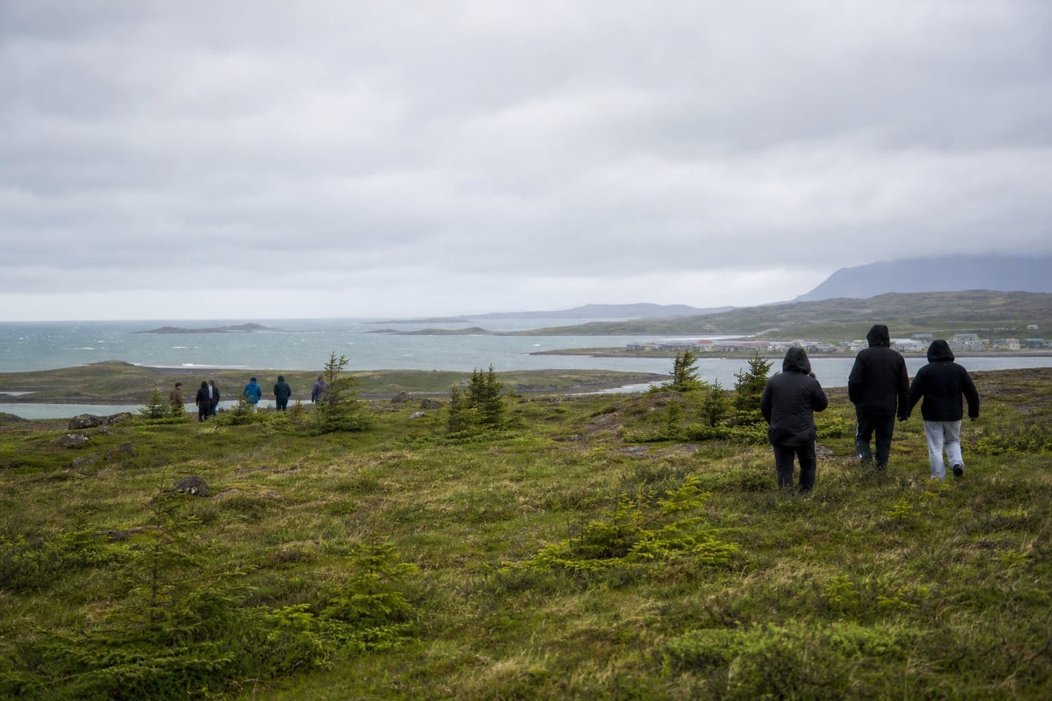 Cover image for article: The ancestral parcels behind a quiet land questionnaire in Port Graham, Nanwalek