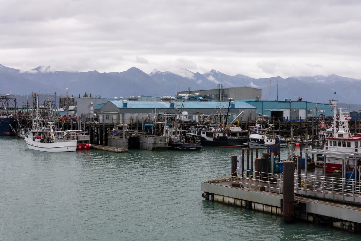 Cover image for article: Homer reverses Copper River Seafoods building plan, keeps December deadline