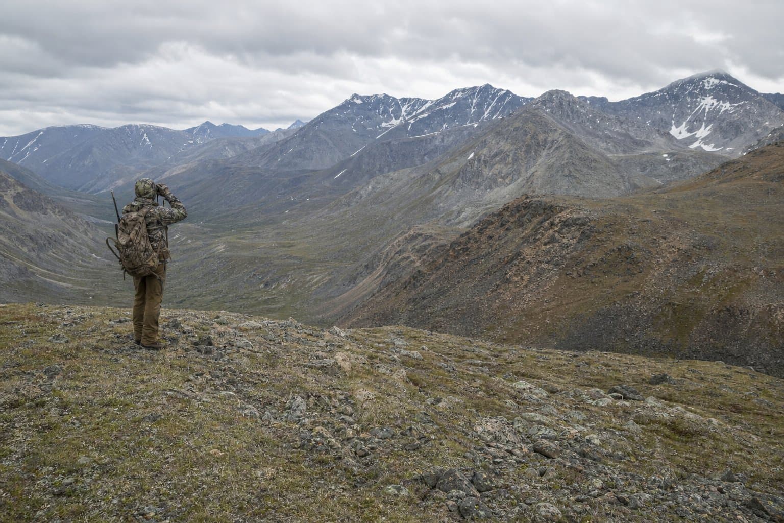 Cover image for article: Alaska sheep hunters must complete orientation course before Aug. 10 opener