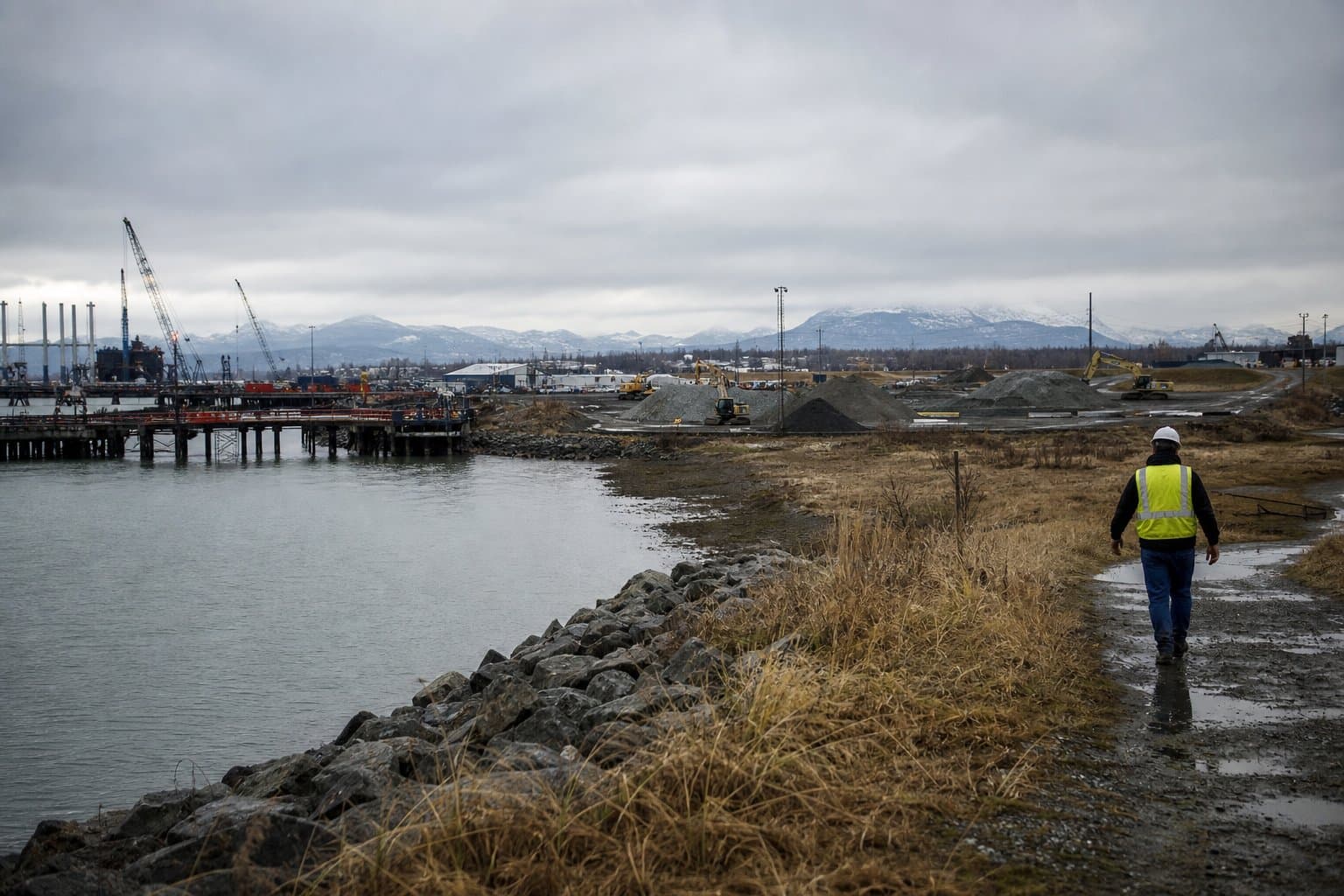 Cover image for article: State objects to Anchorage's park rezone of 7.9 acres of port land