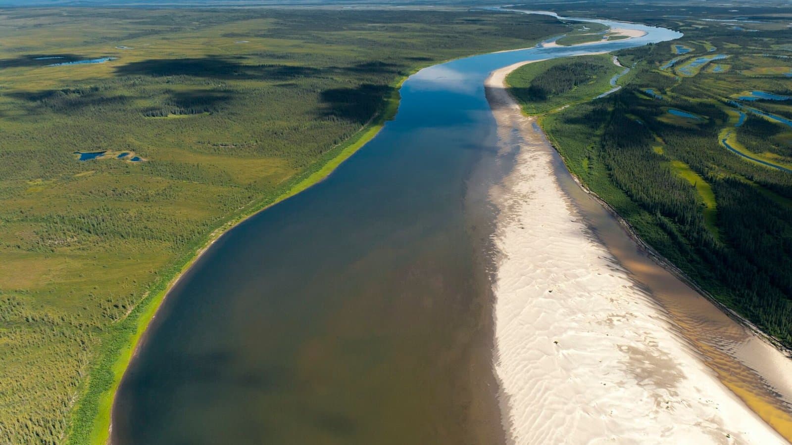 Cover image for article: Kiana Traditional Council and three partners to receive 2026 Eileen Devinney Award