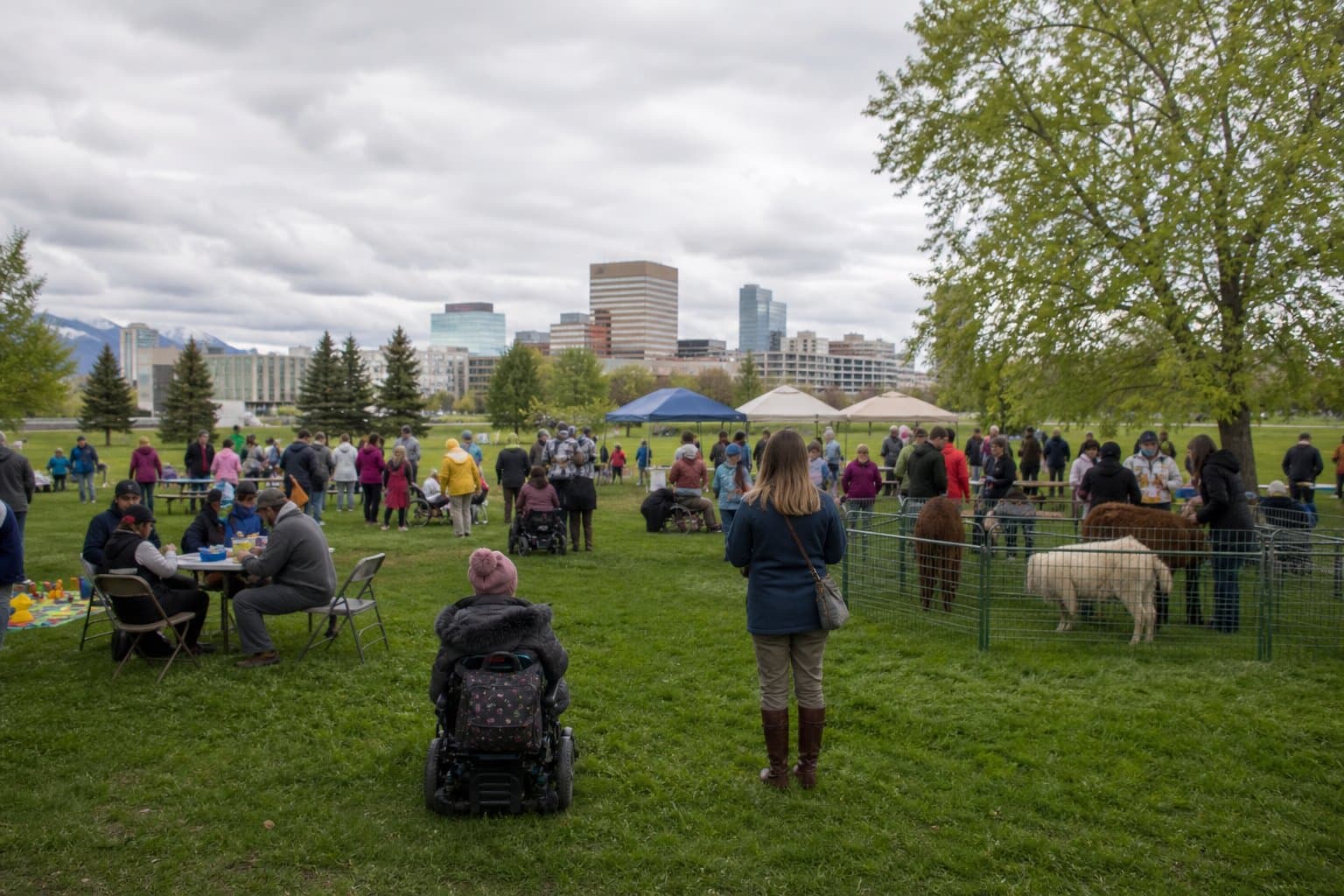 Cover image for article: Anchorage Disability Pride celebration set for Saturday at Delaney Park Strip