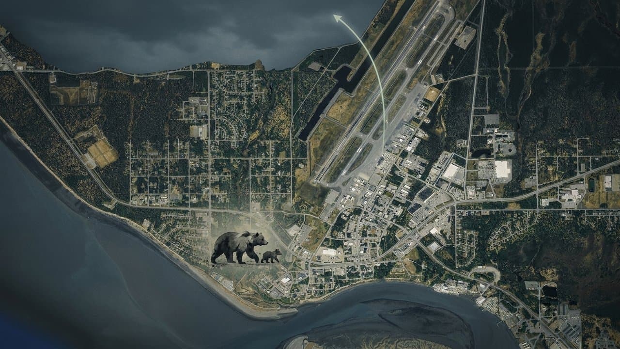 Cover image for article: A Kenai woman is mauled by a bear on her own front deck