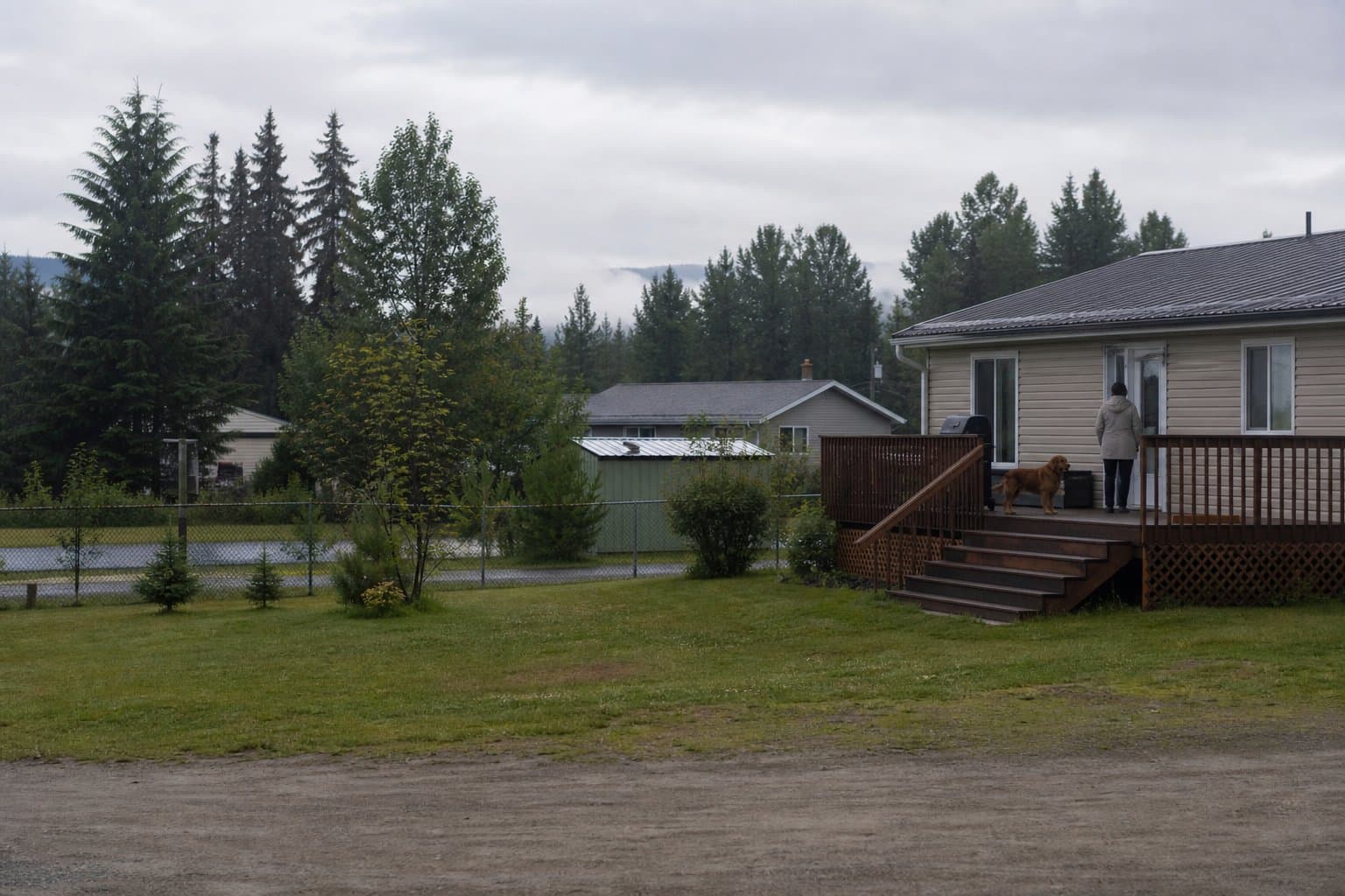Cover image for article: Kenai woman airlifted after brown bear sow attacks her on front deck