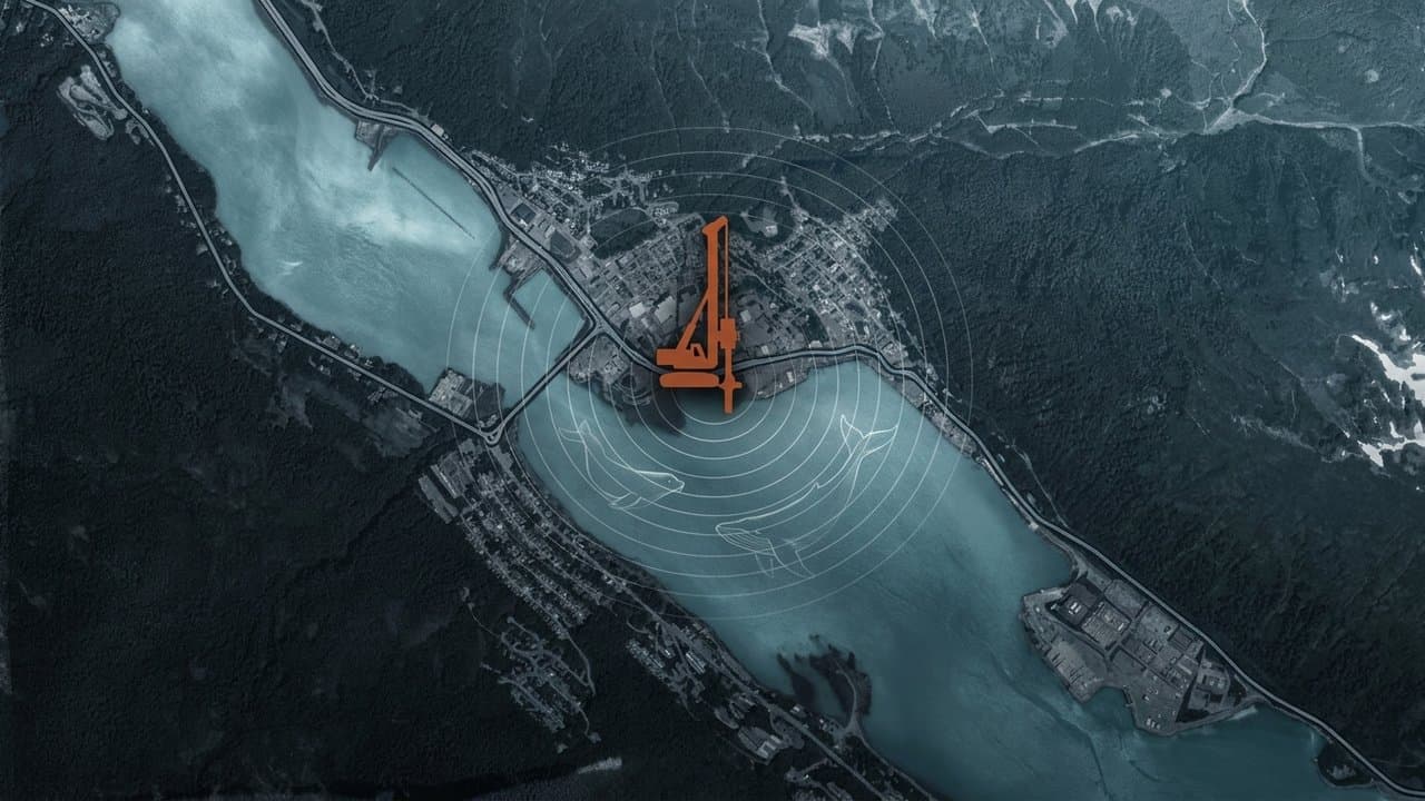 Cover image for article: Pile driving at a Juneau fuel dock could damage seals' hearing