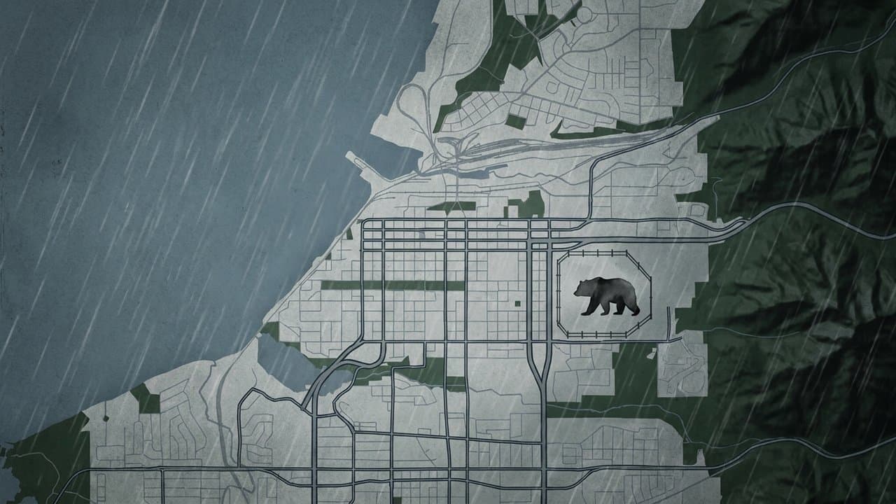 Cover image for article: Alaska Zoo female brown bear transferred to solitary enclosure after June attack