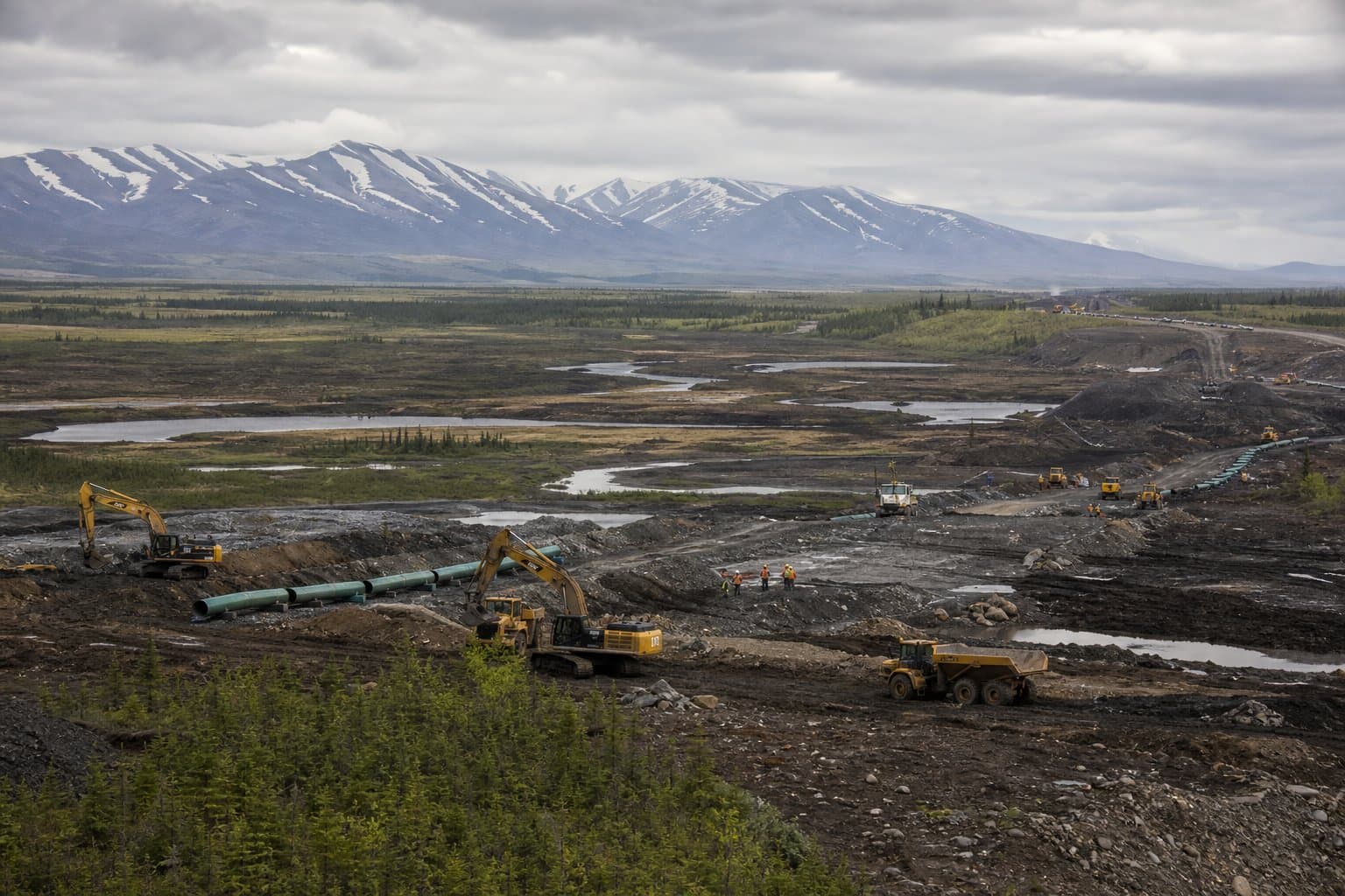 Cover image for article: New Endangered Species Act rules could change Alaska project reviews
