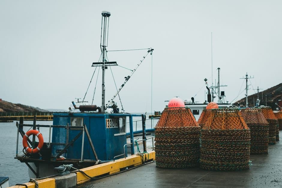 Cover image for article: Unalaska awarded its harbor contract before the sea otter permit was final