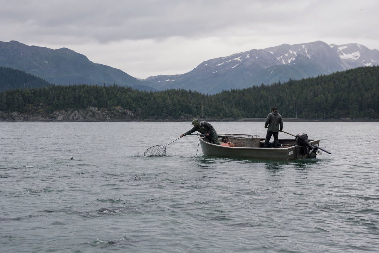 Cover image for article: Strong sockeye at China Poot, but clammers now need a permit before heading out