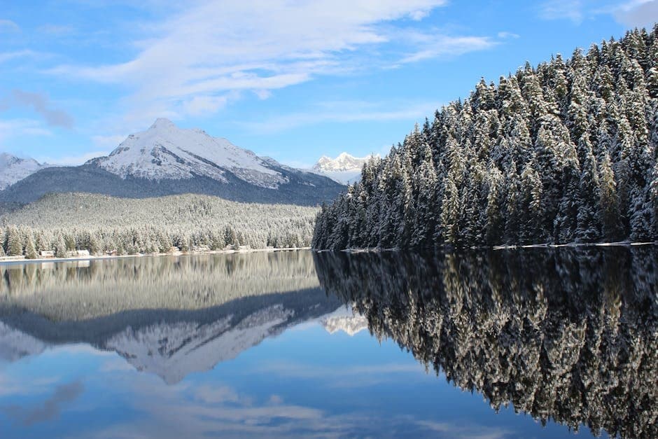 Cover image for article: ADF&G opens Juneau hatchery area to king salmon retention June 1