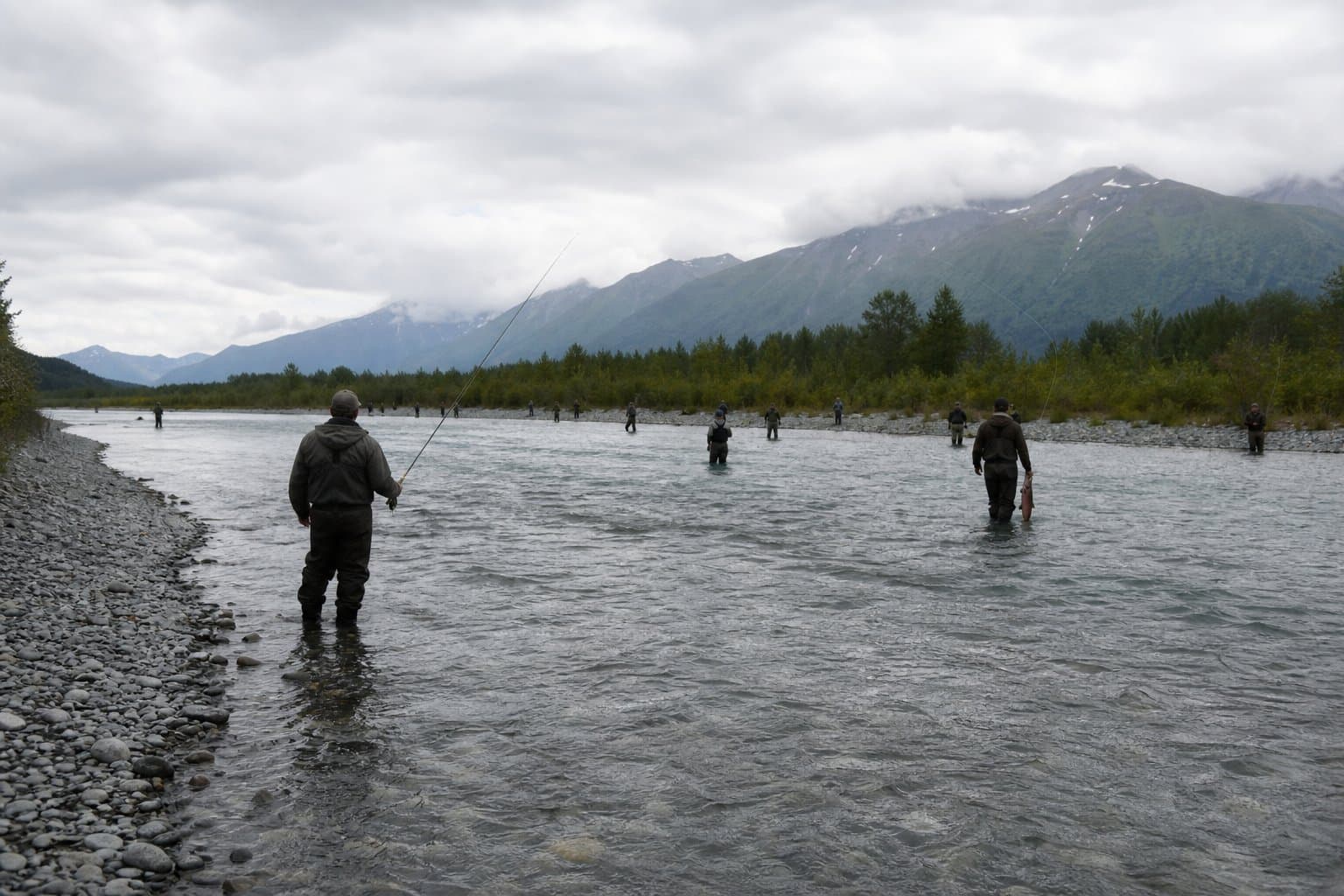 Cover image for article: A sockeye surge doubles the Fish Creek salmon limit for a week