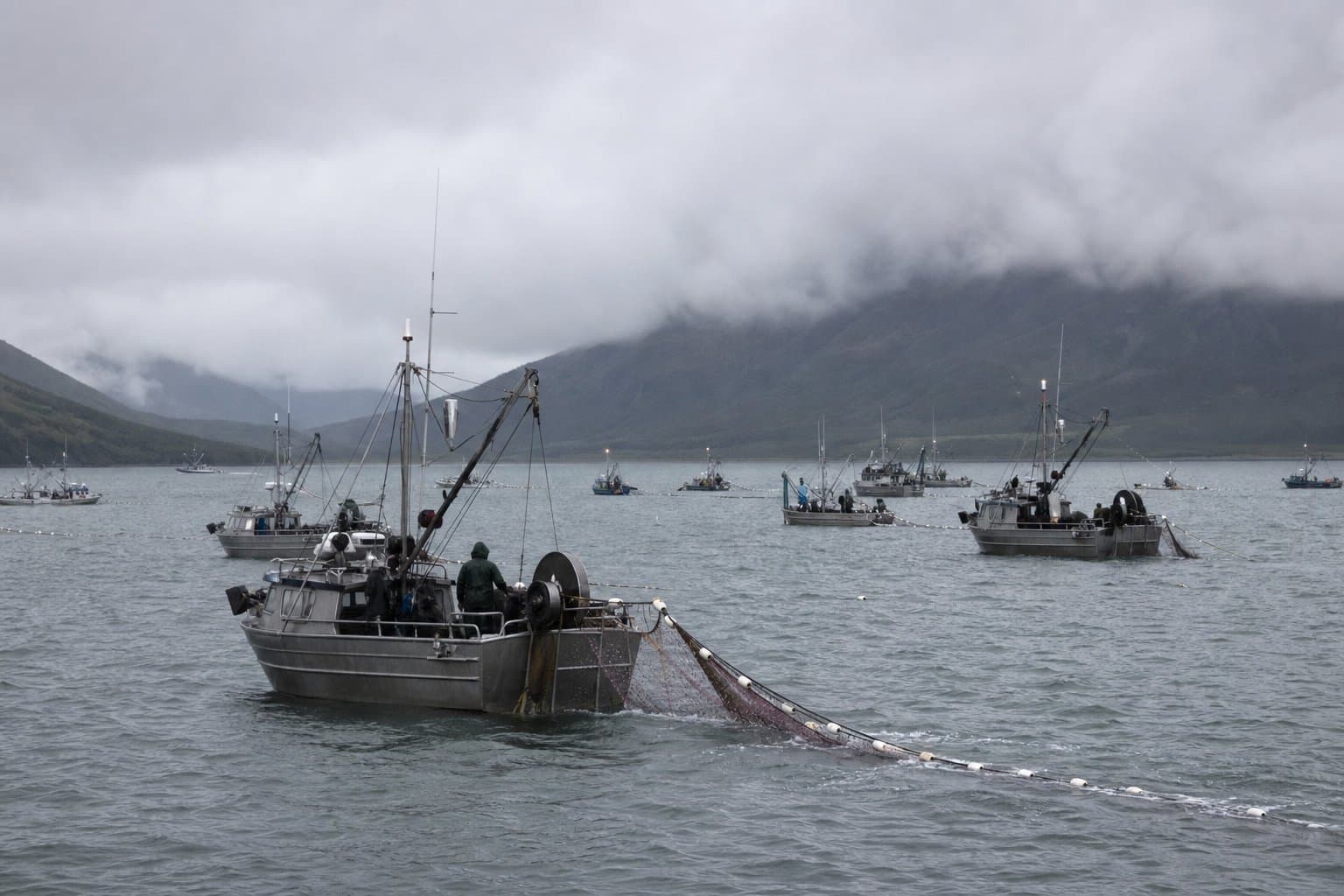 Cover image for article: Policing the world's biggest salmon rush