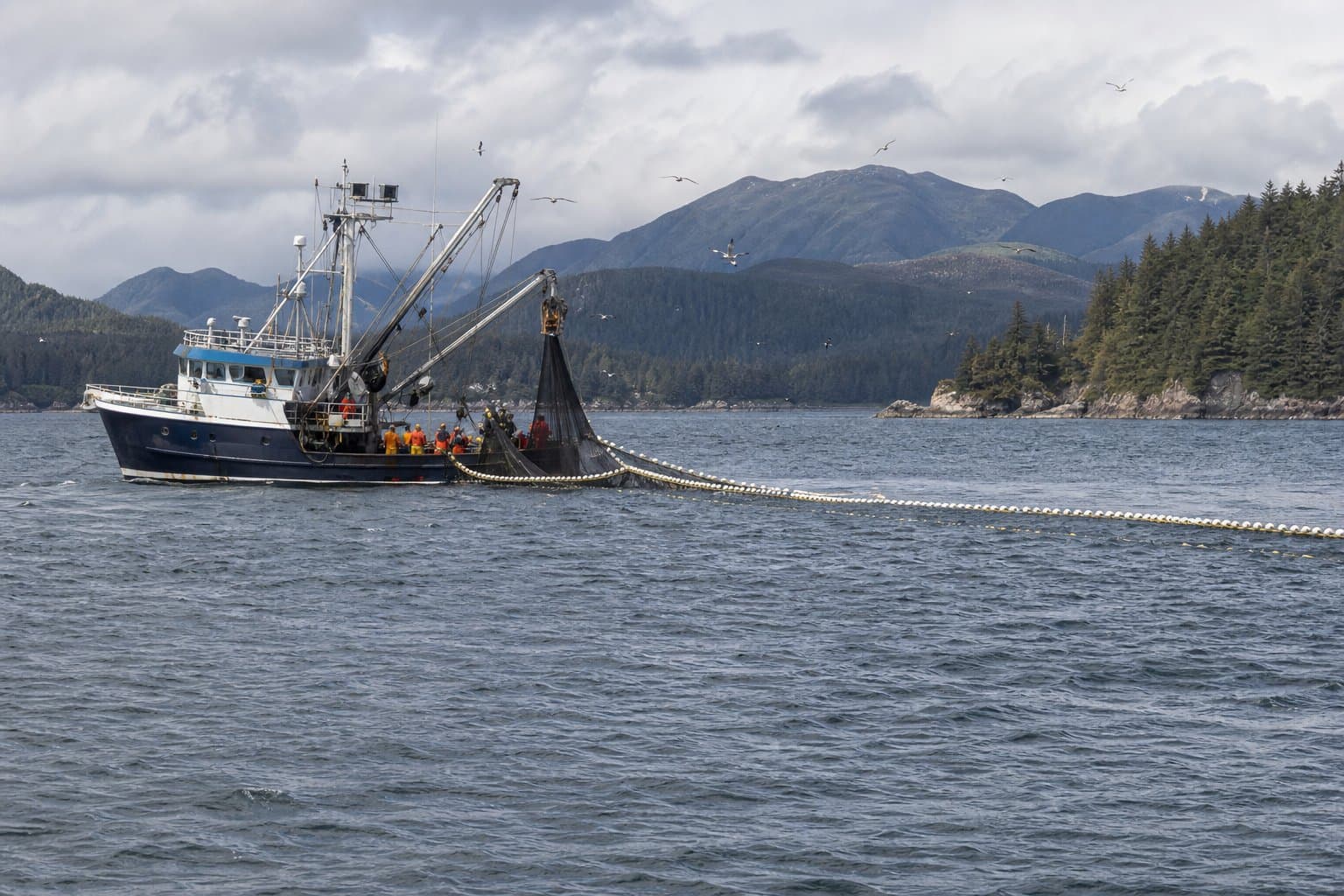Cover image for article: Kodiak seiners got four more days, or one, depending where they were