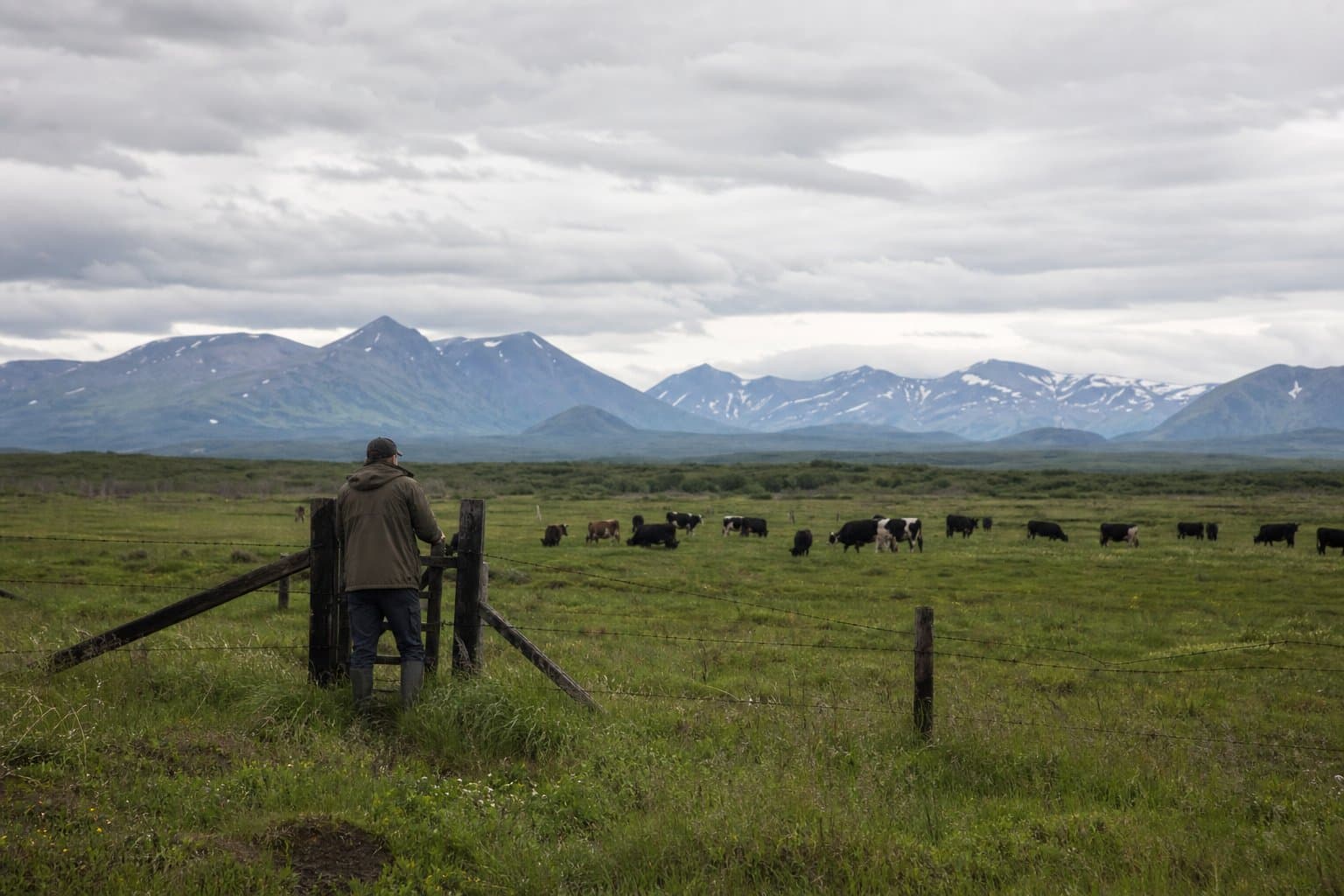 Cover image for article: A new federal complaint line for Alaska's rural producers