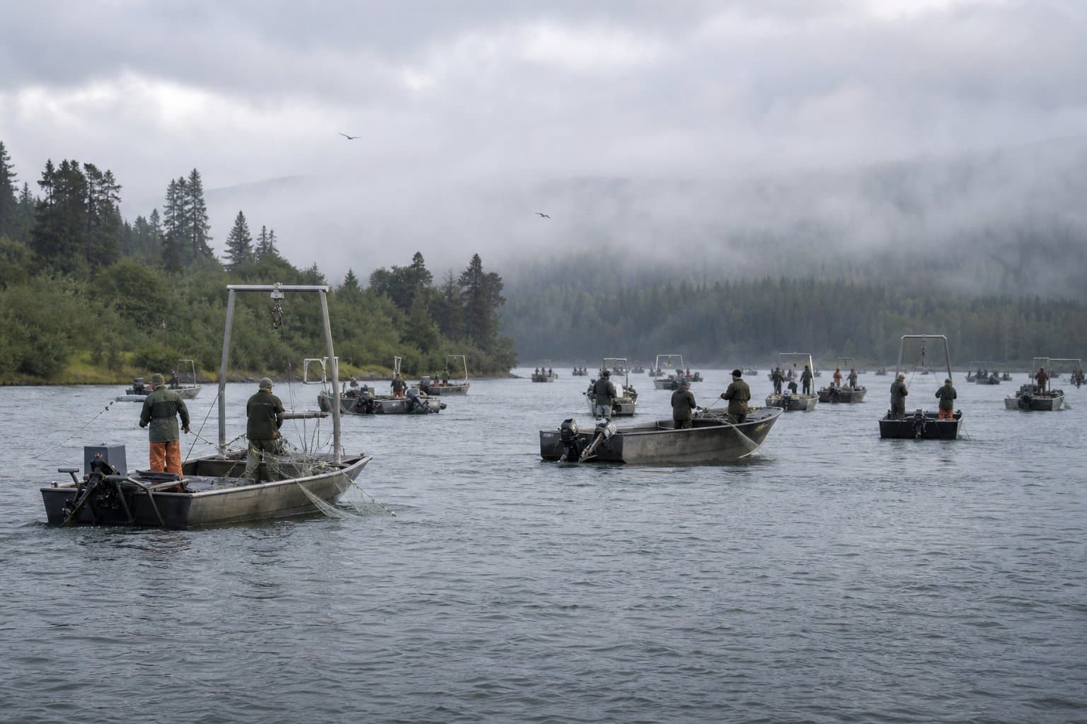 Cover image for article: Naknek River sockeye may fall short of forecast