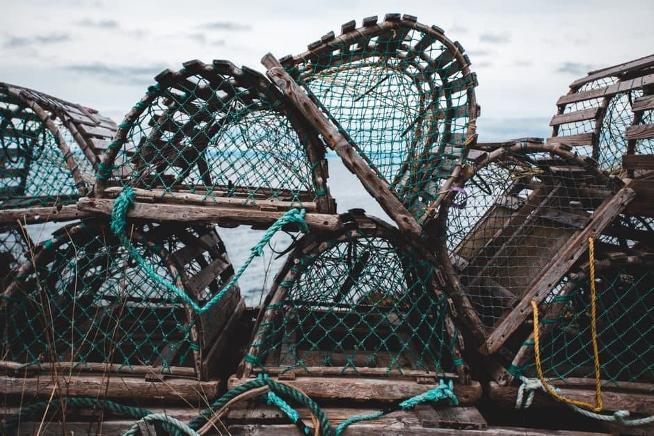 Cover image for article: Kodiak seafood permit bars waste deposits on seafloor