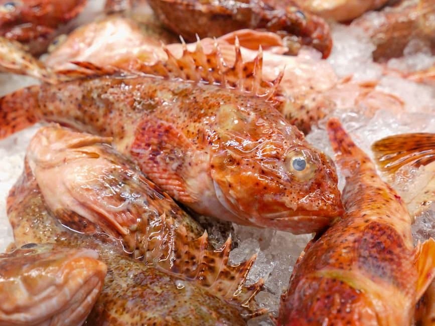 Cover image for article: One black rockfish a day in Kodiak and Afognak waters
