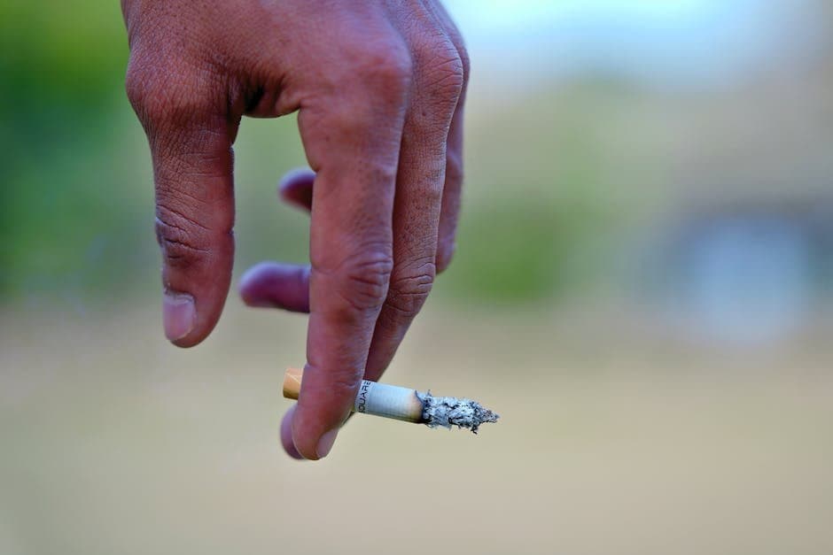 Cover image for article: Alaska expands free quit support to iqmik, nicotine pouches