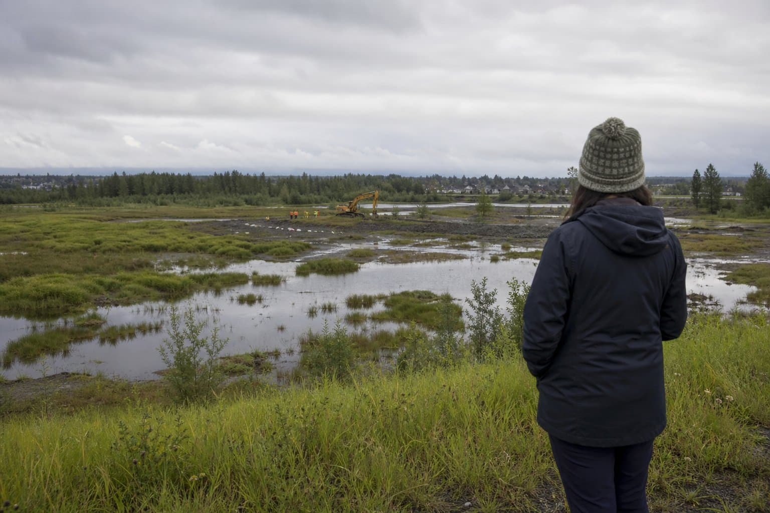 Cover image for article: Anchorage wetlands plan gets first update in over a decade as federal rules shift