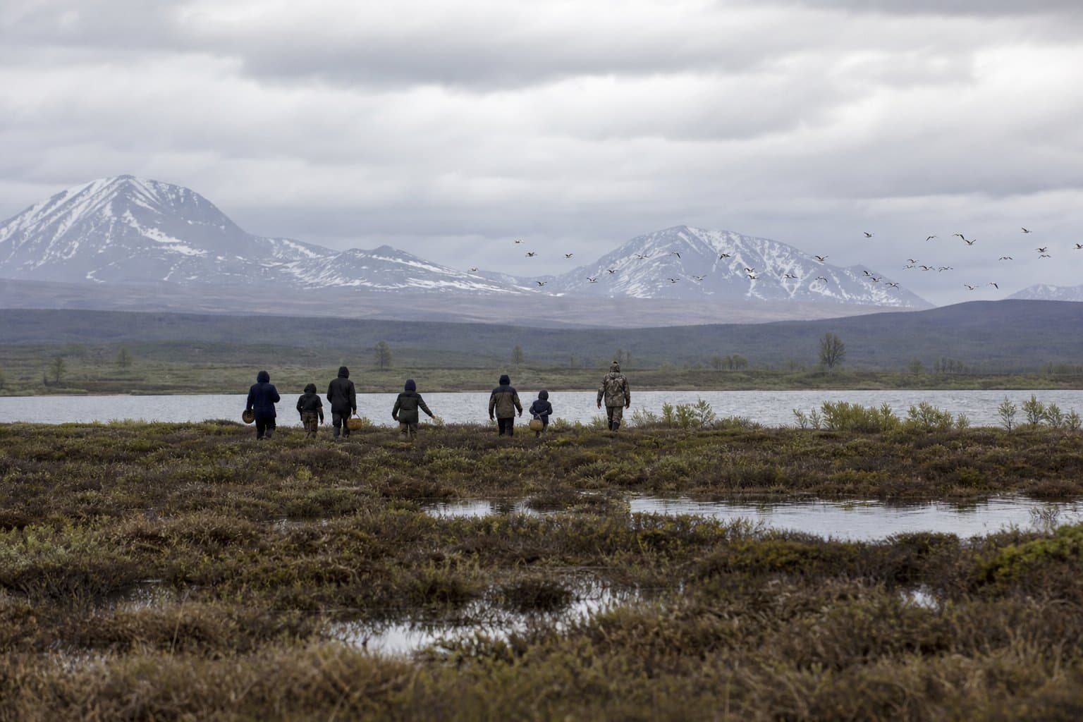 Cover image for article: Federal rule renames Alaska subsistence bird-harvest region as Ahtna Territory