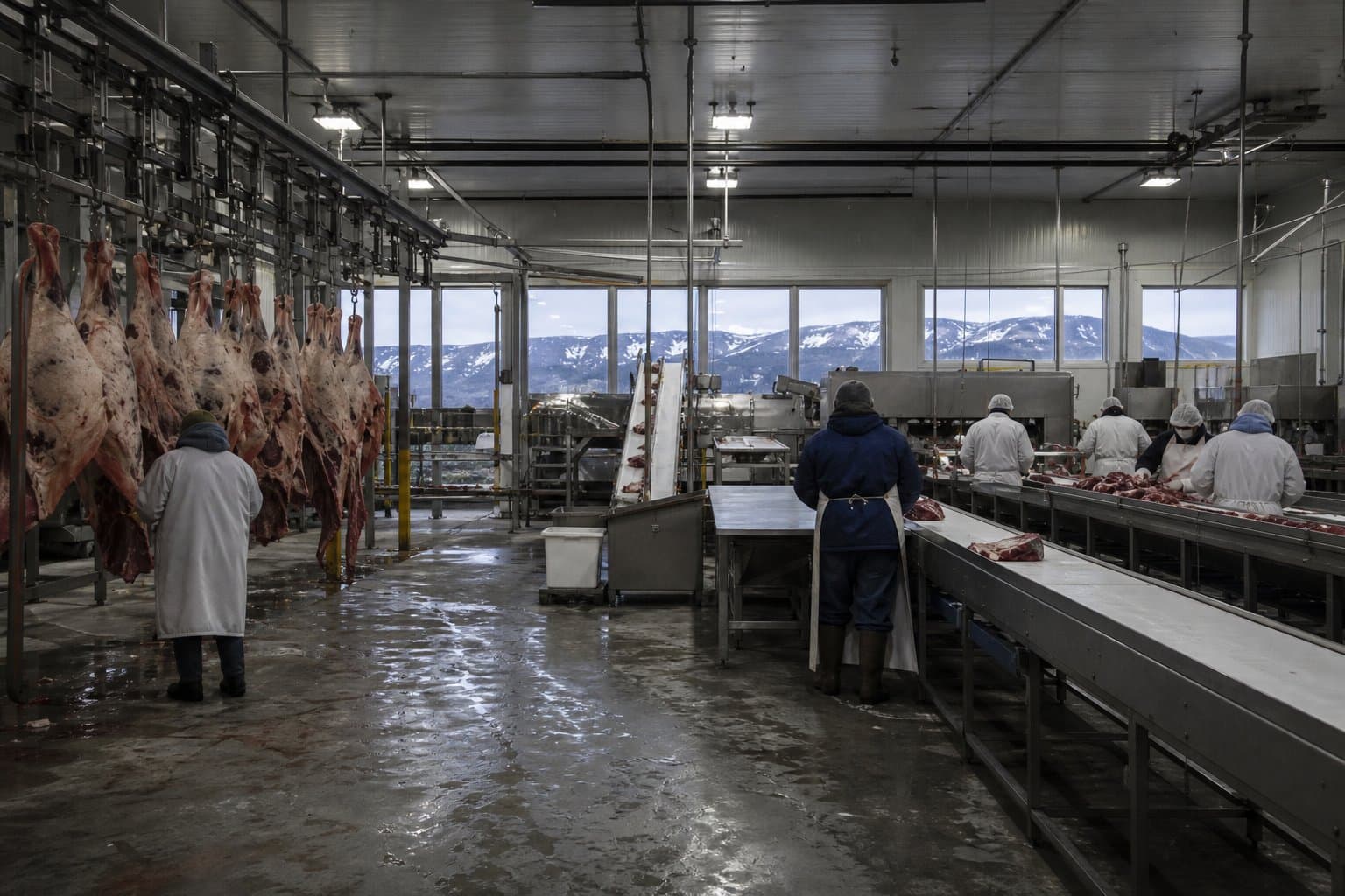 Cover image for article: USDA's SPUR program offers up to $500 million to small and mid-size beef processors