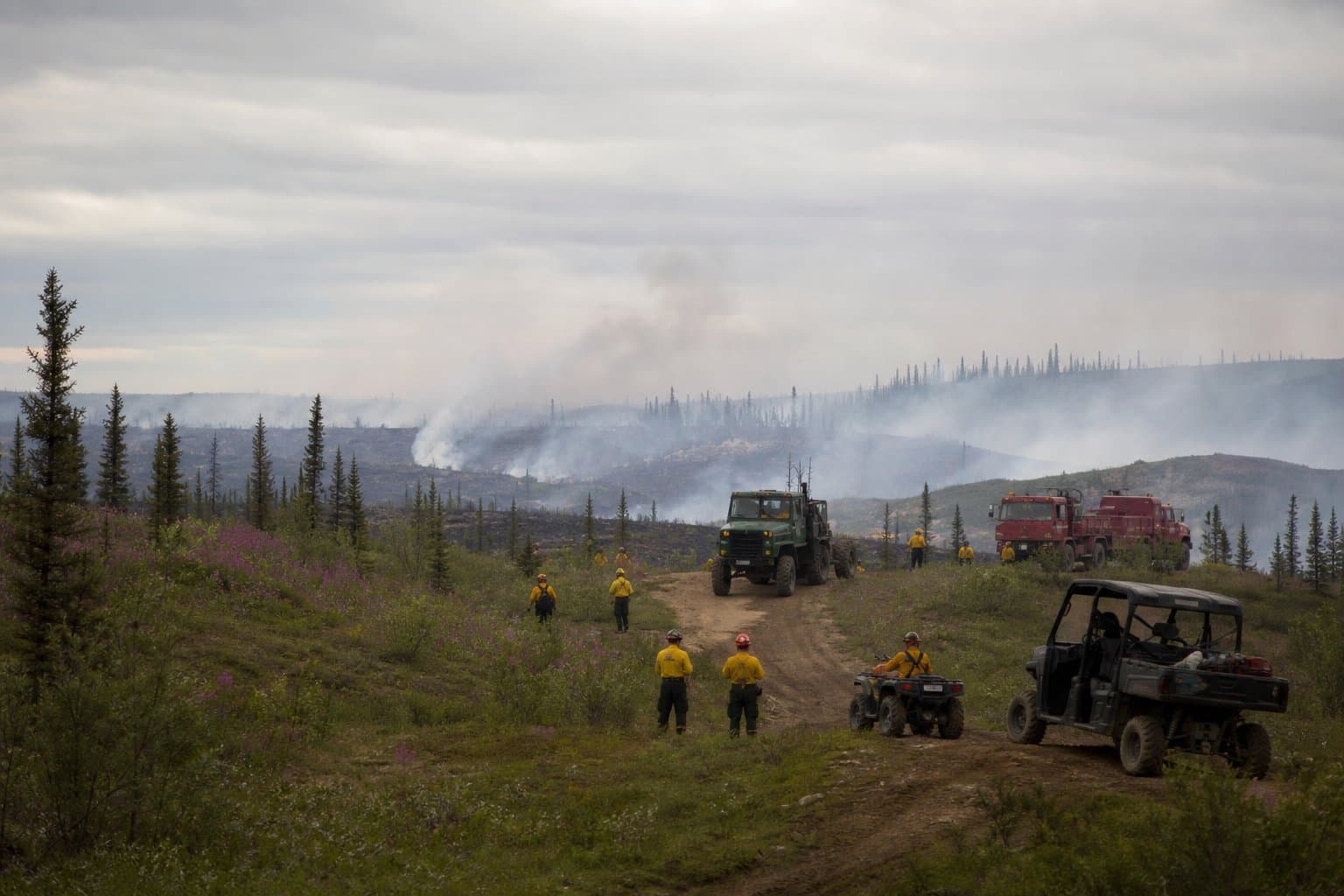 Cover image for article: Alaska wildfire investigations climb as Interior ignitions accelerate
