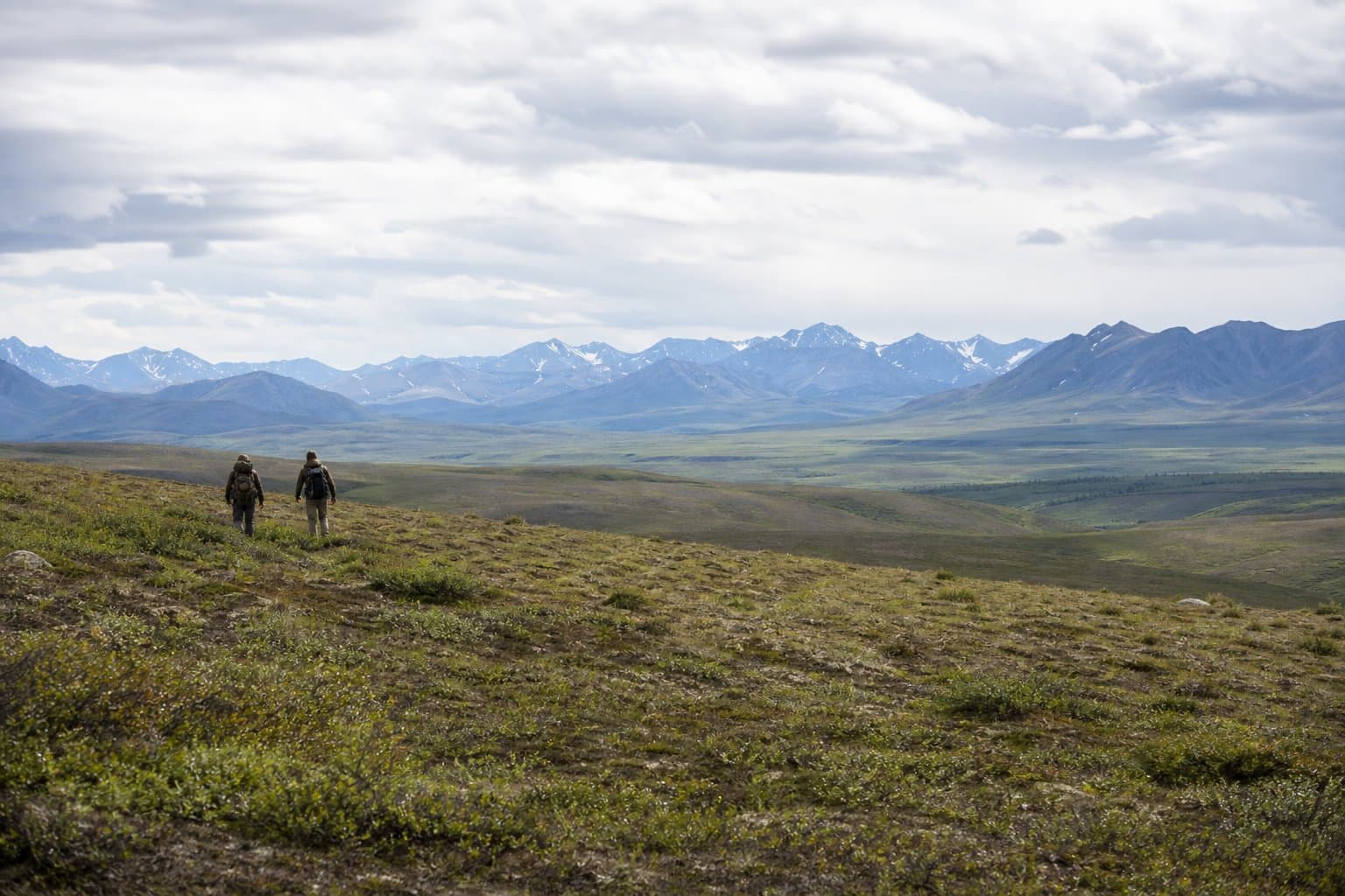 Cover image for article: Judge declines to block 1.4 million-acre Alaska land transfer