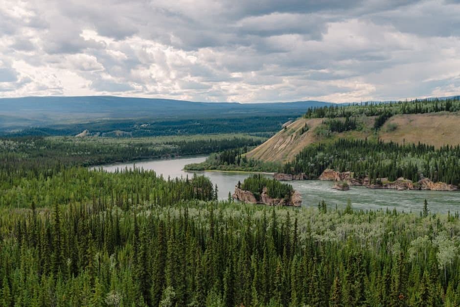 Cover image for article: Yukon fall salmon fishing closes at the peak of the season, not for a weak run but to meet Canada's share