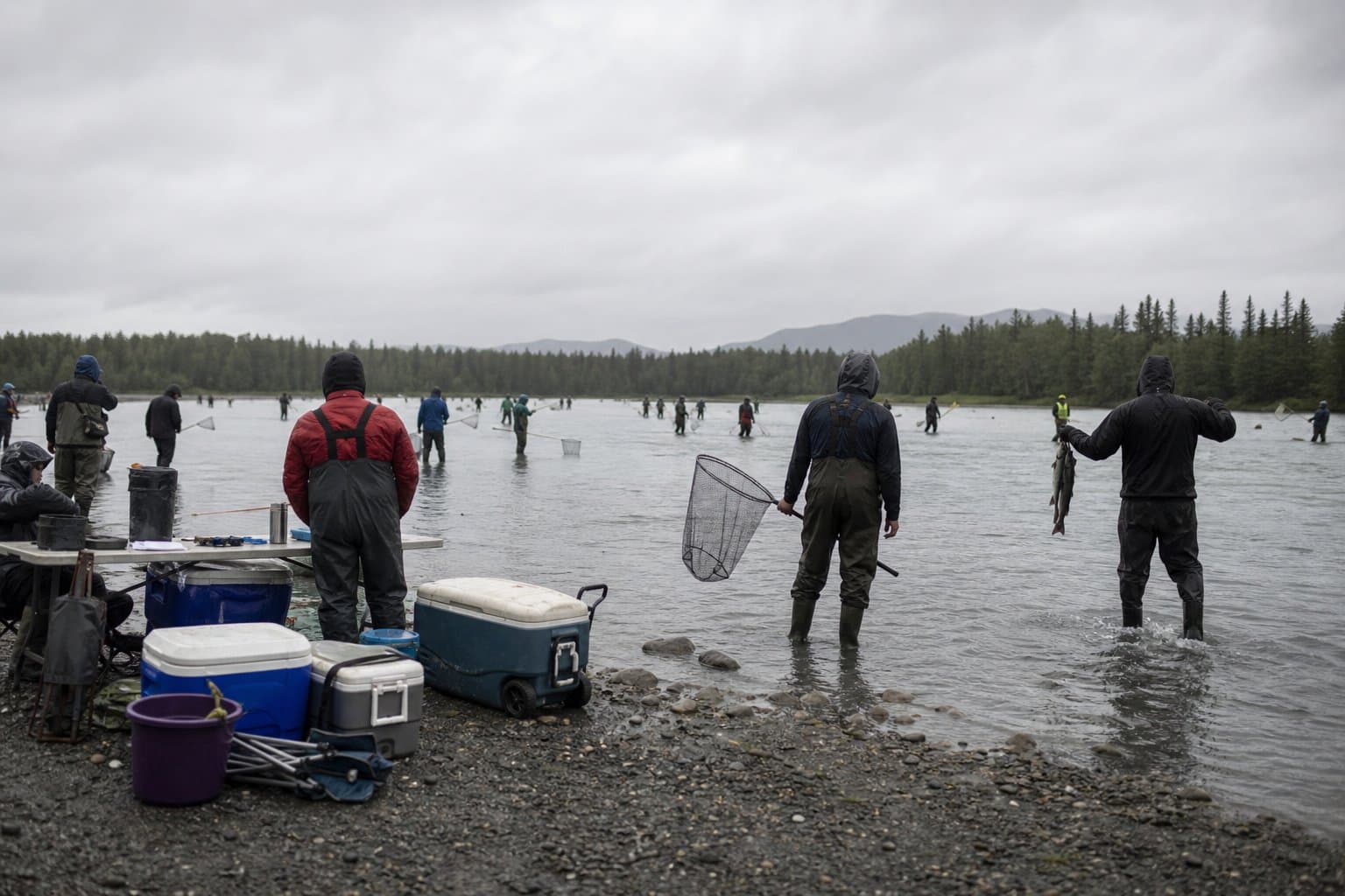 Cover image for article: Five dipnetters cited at Kenai personal use fishery for recordkeeping violation