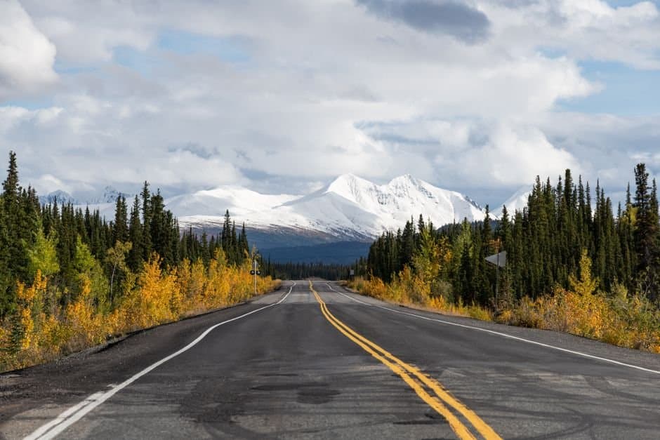 Cover image for article: Forest Service proposes presuming existing forest routes open
