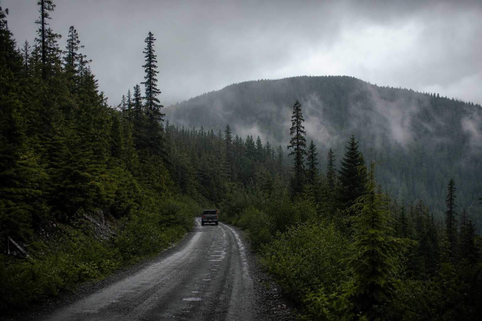 Cover image for article: A proposed rule would presume national forest roads and trails are open unless the Forest Service documents a reason to close them