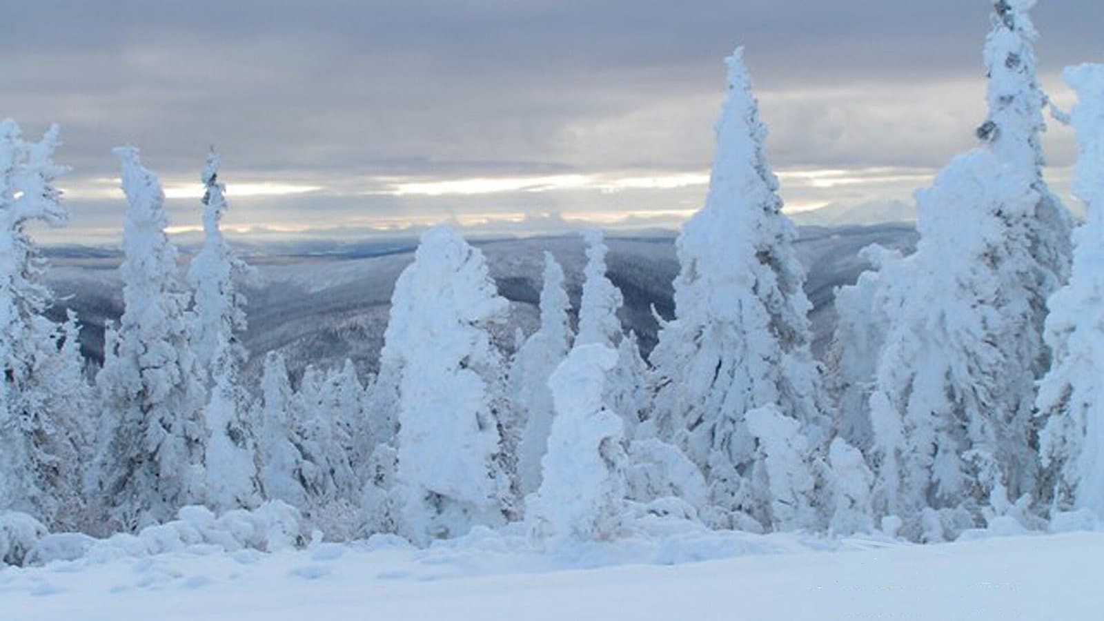 Cover image for article: Last Brooks Range winter storm warning expires after a snowy weekend