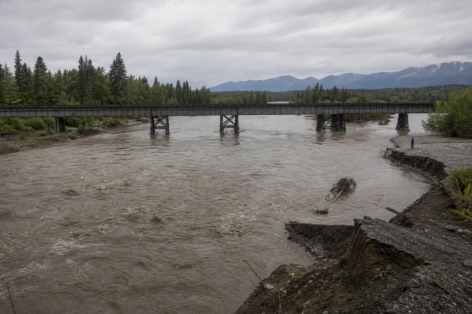 Cover image for article: Speaker at Mat-Su erosion meeting says railroad bridge chokes Talkeetna River flow