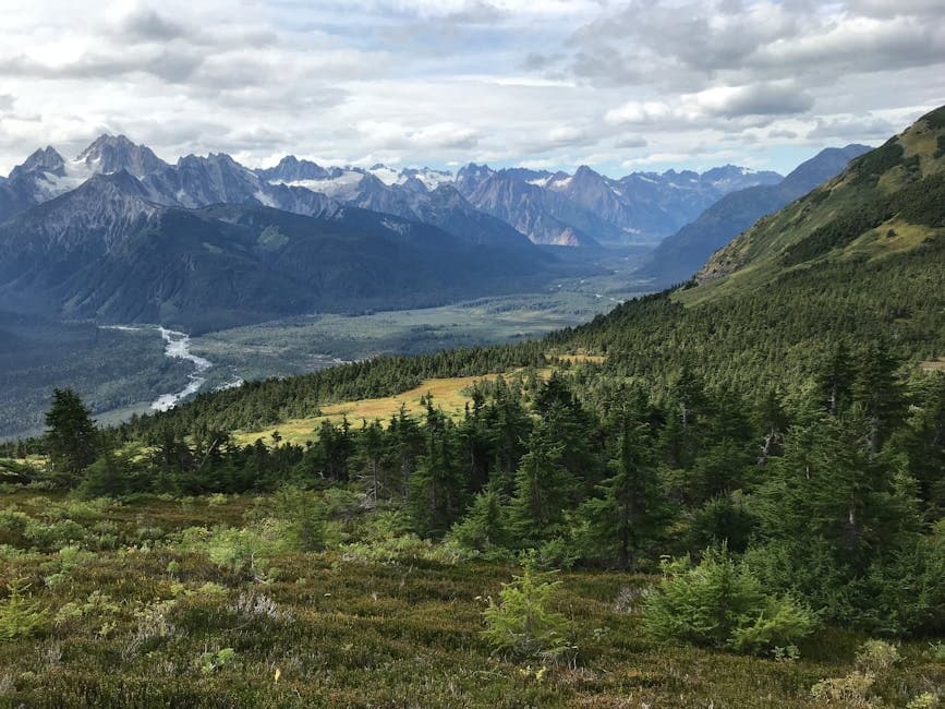 Cover image for article: Kenai Peninsula: Two Major Rivers Closed Through Mid-July