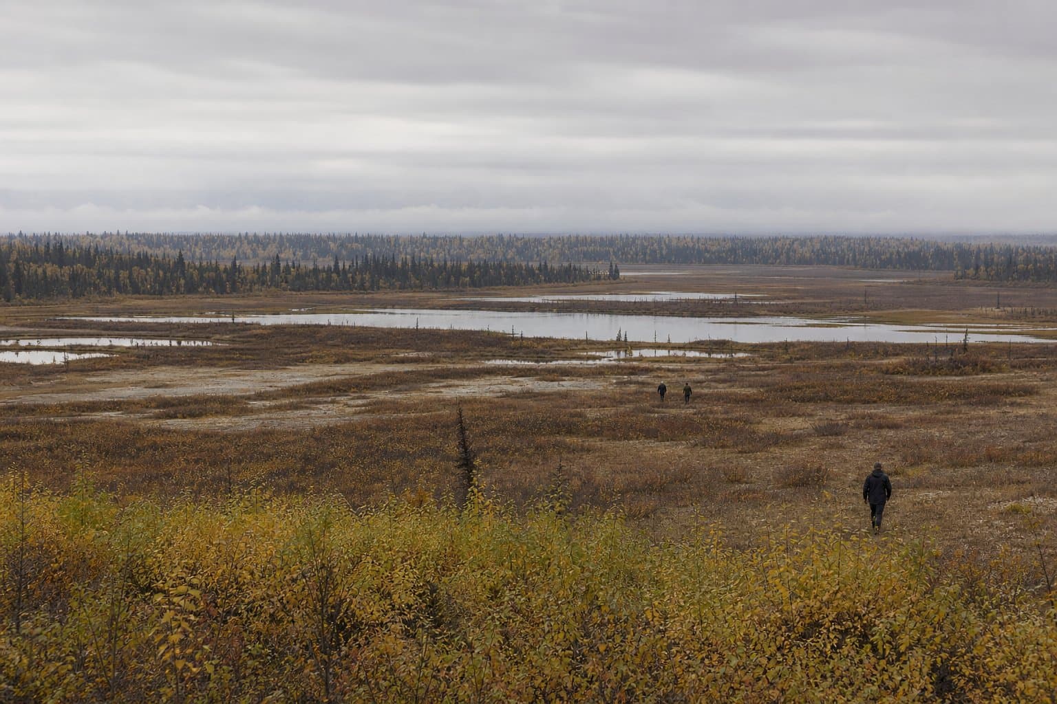 Cover image for article: Alaska would give 20,000 acres near Houston to a state authority for free