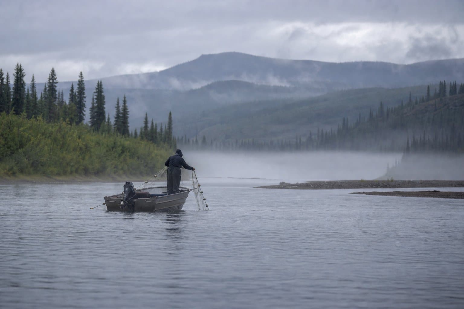 Cover image for article: Yukon District 6 subsistence fishing for fall chum and coho closes Saturday