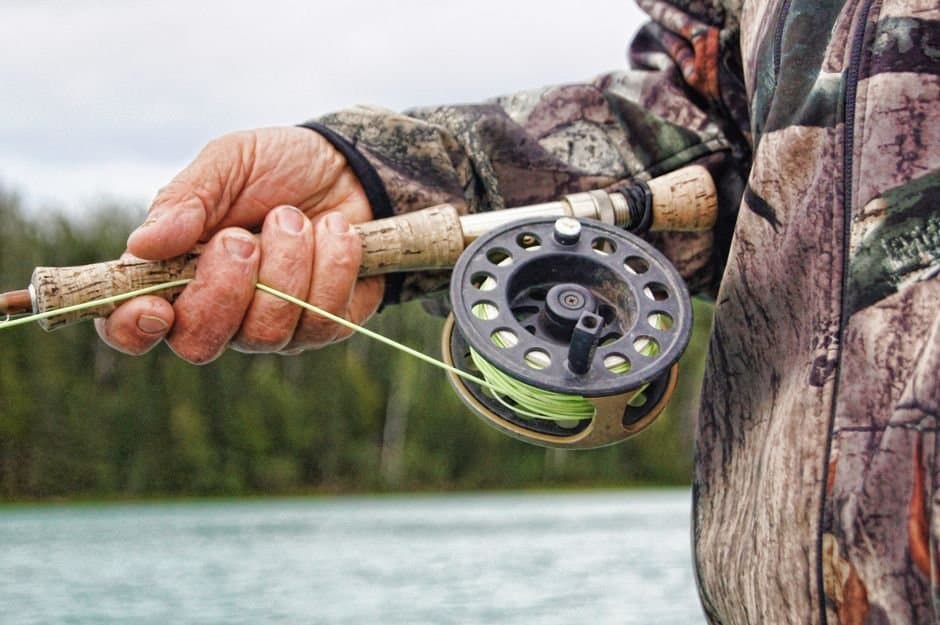 Cover image for article: Coho must go back in the water on the Susitna and Little Susitna