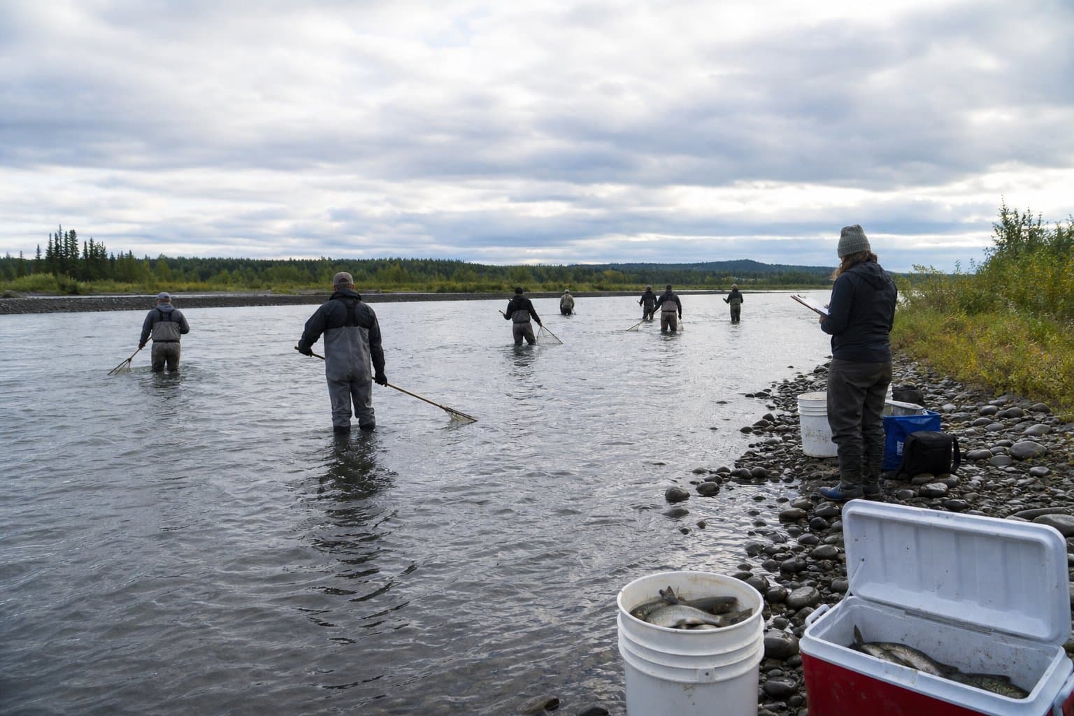 Cover image for article: Kasilof man cited on Kasilof-area personal use permit recording charge, $120 bail set