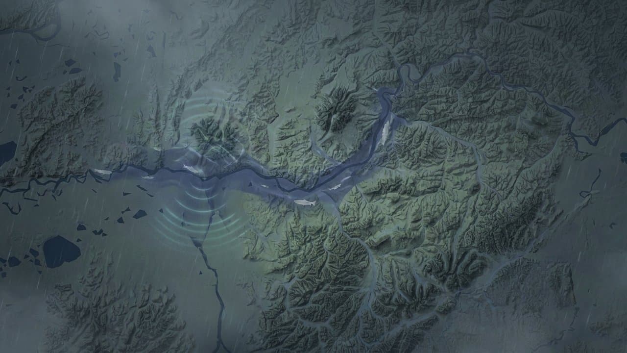 Cover image for article: Kuskokwim coho fishing slow in early August as Bethel sonar counts run low