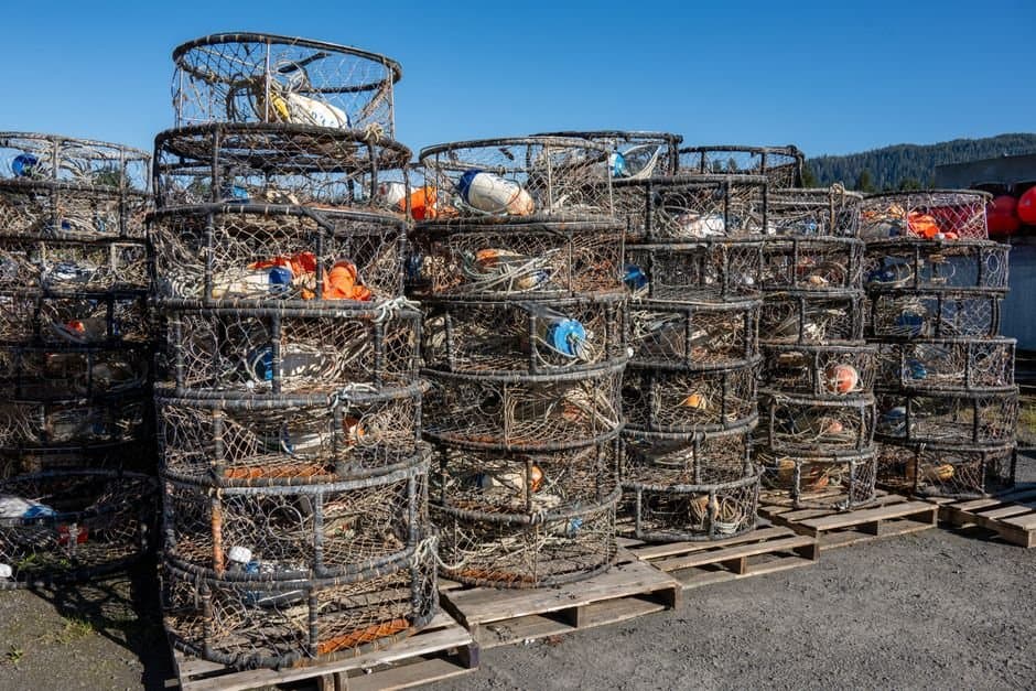 Cover image for article: ADF&G bars Situk king retention in Yakutat set gillnet opening