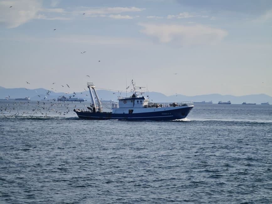 Cover image for article: Markey blocks Sullivan's attempt to fast-track bycatch bill through the Senate