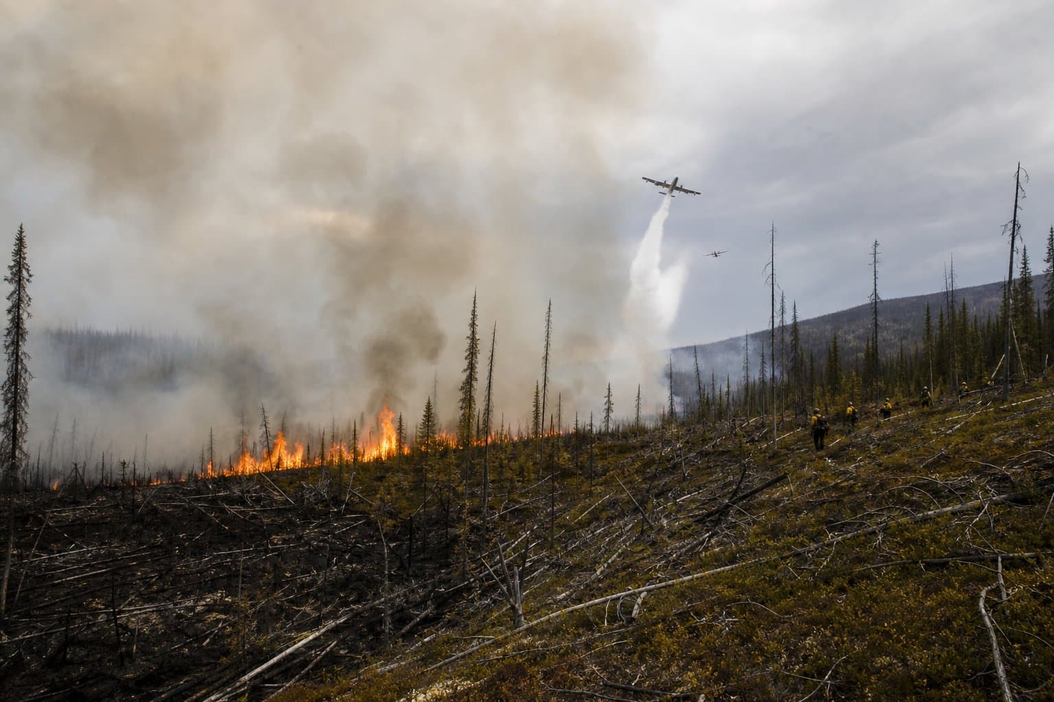 Cover image for article: Betula Fire doubles to 35 acres near Central; Colorado hotshots fly in