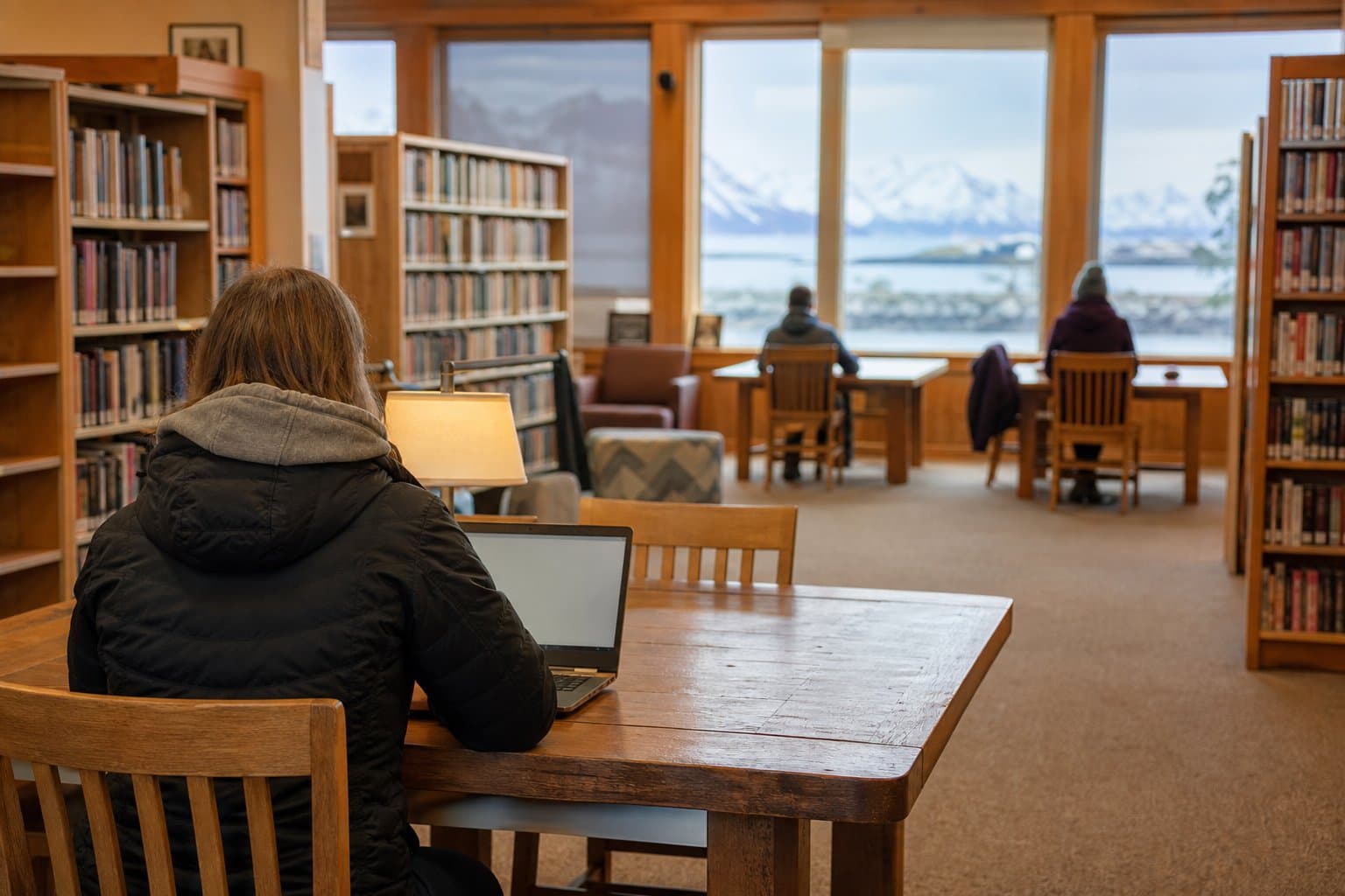 Cover image for article: Homer's library is asking the state to cover part of its internet bill