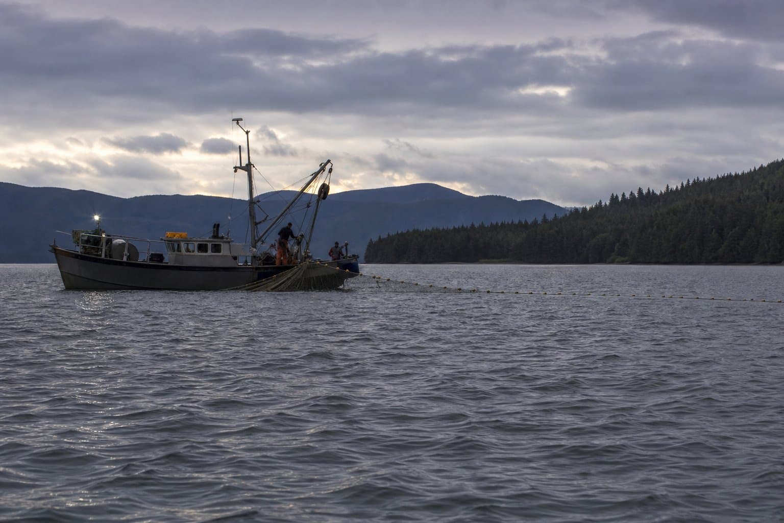 Cover image for article: Section 6-D opens to unrestricted drift gillnetting Tuesday night
