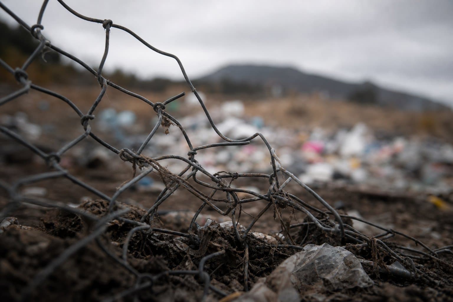 Cover image for article: Kodiak fights landfill bears with a second fence and a look at composting