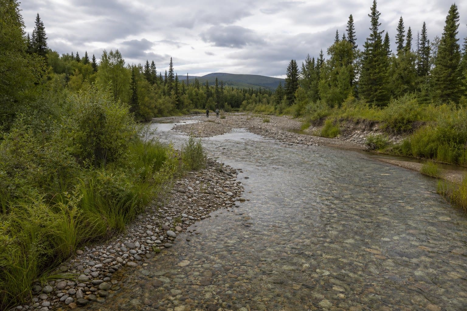 Cover image for article: Comment window opens on McCumber Creek placer mine application near Delta Junction