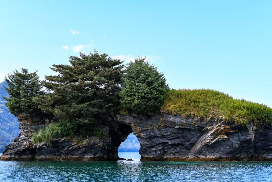 Cover image for article: Kodiak Island Borough Assembly opens hearing on Cliff Point conservation rezone