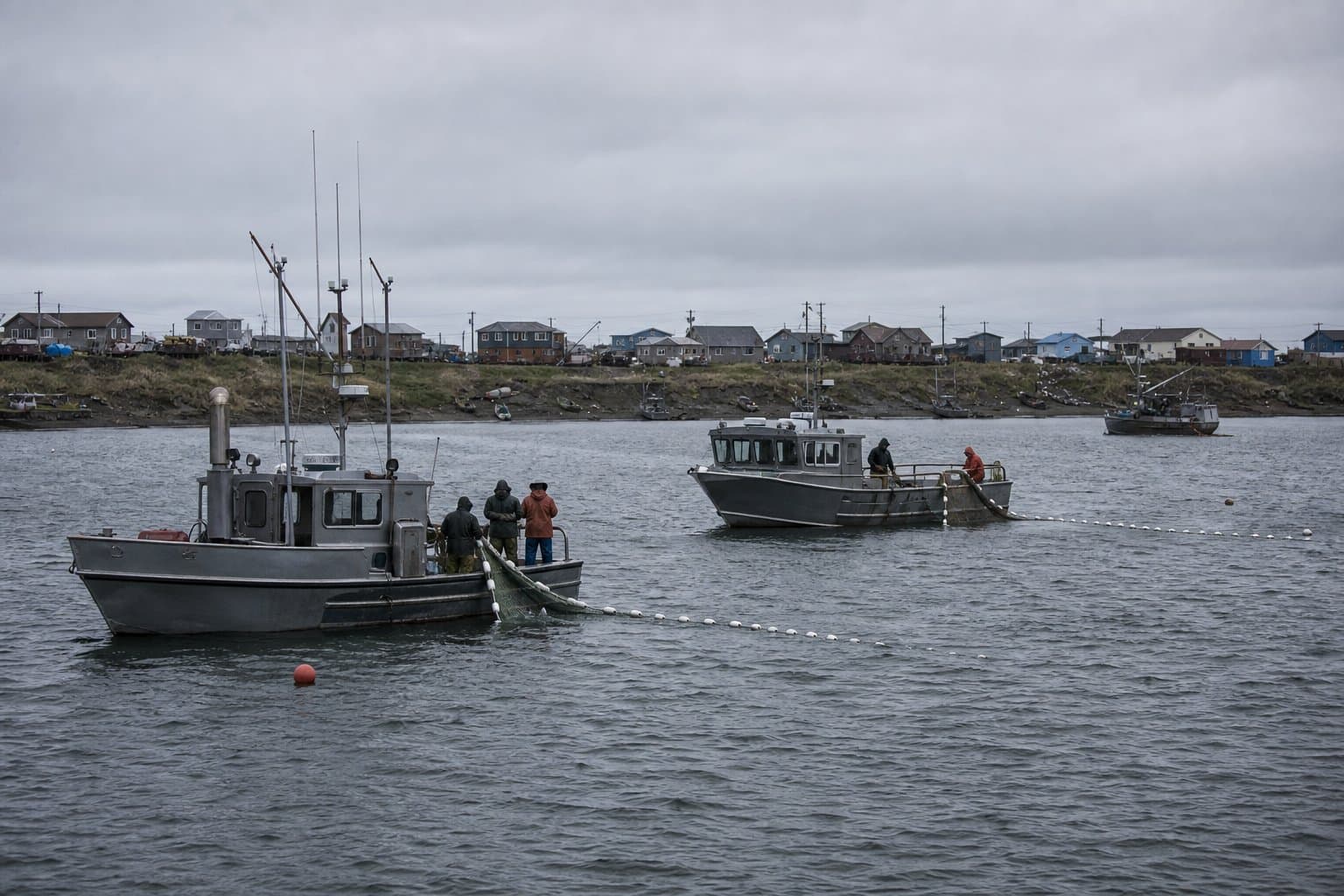 Cover image for article: Commercial fishing opens in Kuskokwim Bay as subsistence fishing closes