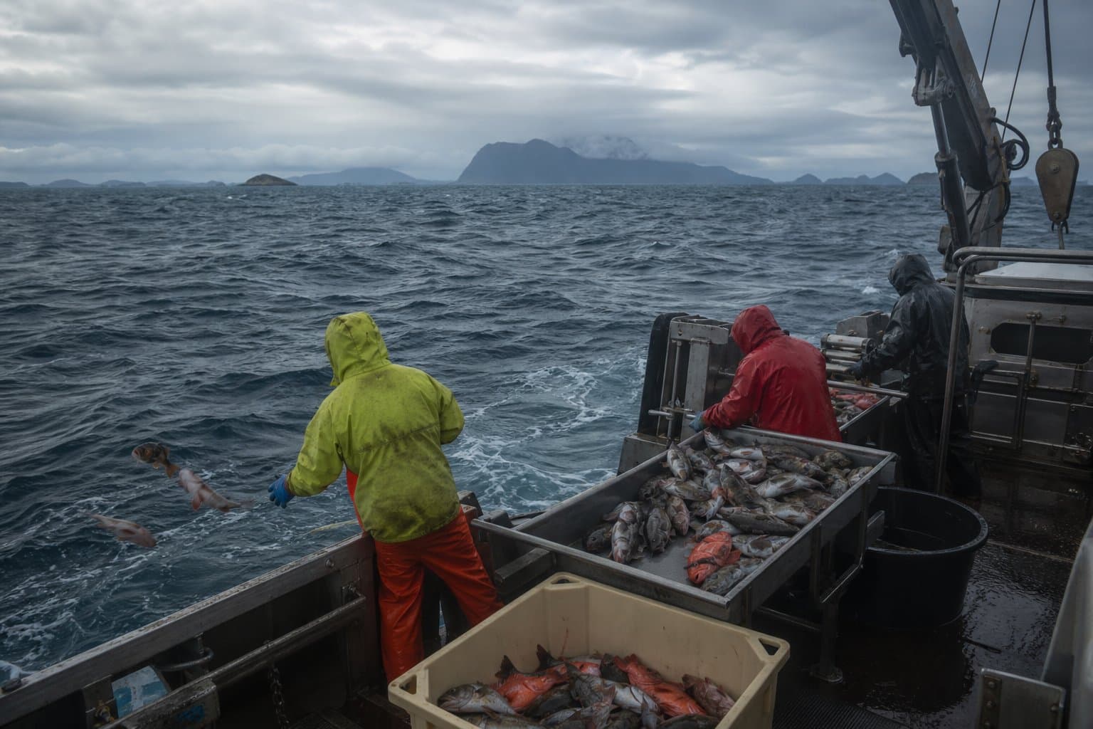 Cover image for article: Aleutian 'other rockfish' limit runs out for 10th straight year
